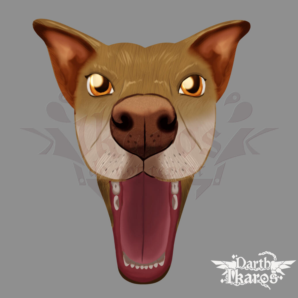 Attie's Art for Attie's Bazaar